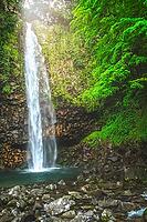 Small waterfall in the dense jungle of the tropical island of Sumatra, Indonesia [IBR123713380]