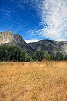 Yosemite National Park in California. United States of America [IBR123723143]