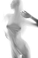Silhouette of young sexy woman on white background leaning back. Studio shot [IBR123723183]