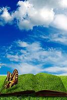 A butterfly rests on an open book lying in a grassy field under a clear blue sky with clouds [IBR123760804]