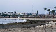 Morning atmosphere on a wide sandy beach with palm trees and calm sea, Shoni Bay, Egypt [IBR123769632]