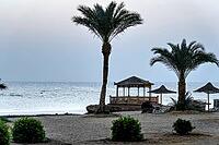 Atmospheric sunrise at sea with palm trees and peaceful surroundings, Shoni Bay, Egypt [IBR123769633]