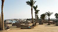 Lively resort on sandy beach with numerous umbrellas and palm trees, Shoni Bay, Egypt [IBR123769634]