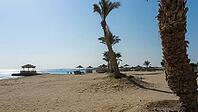 Quiet sandy beach with palm trees and umbrellas overlooking the sea, Shoni Bay, Egypt [IBR123769636]