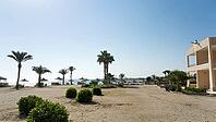 Sandy beach beach with palm trees and modern buildings by the sea under clear skies, Shoni Bay, Egypt [IBR123769637]