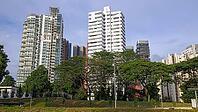 Several skyscrapers rise above a green expanse of lush trees under a clear blue sky, Singapore, Singapore [IBR123769660]