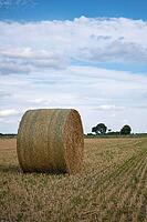 Straw bales on a stubble field in summer, North Rhine-Westphalia, Germany [IBR123769709]