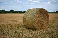 Straw bales on a stubble field in summer, North Rhine-Westphalia, Germany [IBR123769711]