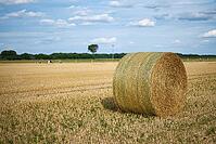 Straw bales on a stubble field in summer, North Rhine-Westphalia, Germany [IBR123769712]