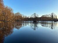 Forest lake with frozen water in winter, reflection, North Rhine-Westphalia, Germany [IBR123769716]