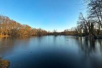 Forest lake with frozen water in winter, reflection, North Rhine-Westphalia, Germany [IBR123769717]