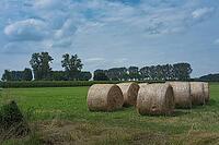 Straw bales in summer, North Rhine-Westphalia, Germany [IBR123769720]