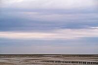 Old pile wave breakers, Wadden Sea National Park, Schleswig-Holstein, Germany [IBR123773598]