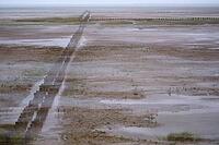 Old pile wave breakers, Wadden Sea National Park, Schleswig-Holstein, Germany [IBR123773604]