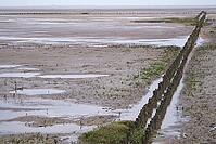 Old pile wave breakers, Wadden Sea National Park, Schleswig-Holstein, Germany [IBR123773605]