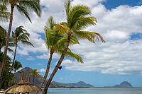 Beach, umbrellas, palm trees, sea, sky, clouds, Flic-en-Flac, Mauritius [IBR123774761]