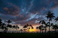 Sunset on beach, palm trees, clouds, Flic-en-Flac, Mauritius [IBR123774798]