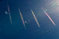 Spider web against light, Kempen, North Rhine-Westphalia, Germany [IBR123790057]