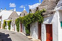 Die einzigartigen Trulli in Alberobello, Bari, Italien [IBR123790649]
