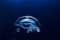 Abstract underwater oxygen bubble with blue backdrop [IBR123878840]