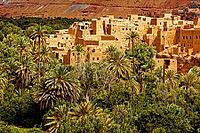 Old city surrounded by the palm and date trees in Ouarzazate, Morocco [IBR123878848]