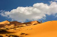 Dunes of Sahara Desert, Morocco [IBR123878850]