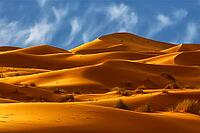 Dunes of Sahara Desert, Morocco [IBR123878851]