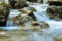 Raging clean fresh mountain river flowing between rocks [IBR123878906]