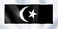 Terengganu State Flag Representing Faith and Monarchy [IBR123893282]