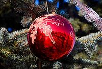 Tinsel and toys, balls and other decorations on the Christmas Christmas tree standing in the open air. Atyrau, Kazakhstan, Eurasia [IBR123893321]