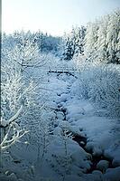 Winter landscape, Burstream, North Rhine-Westphalia [IBR123895584]