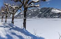 Landscape panorama, Zell am See, lake, snow, winter, sun, Pinzgau [IBR123895611]