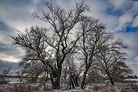 Wintery floodplain landscape along the Schmutter in the Augsburg Western Wälder nature park Park, Bavaria, Germany [IBR112941836]
