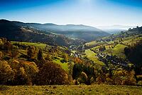 Autumn-colored forest, Wiesental, Black Forest, Baden-Württemberg, Germany [IBR123911502]