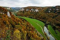 Autumnal forest and Werenwag Castle, Eichfelsen viewpoint, near Irndorf, Upper Danube nature park Park, Upper Danube Valley, Danube, Swabian Jura, Baden-Württemberg, Germany [IBR123911541]