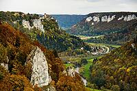 Autumnal forest and Werenwag Castle, Eichfelsen viewpoint, near Irndorf, Upper Danube nature park Park, Upper Danube Valley, Danube, Swabian Jura, Baden-Württemberg, Germany [IBR123911542]