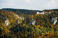 Autumnal forest and Wildenstein Castle, Rauher Stein viewpoint, near Leibertingen, Upper Danube nature park Park, Upper Danube Valley, Danube, Swabian Jura, Baden-Württemberg, Germany [IBR123911543]