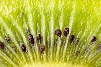 Close up on Kiwi fruit [IBR123980356]