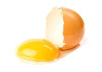 Broken egg [IBR123980364]