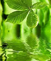 OLYMPUS DIGITAL CAMERA [IBR123980376]