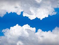 OLYMPUS DIGITAL CAMERA [IBR123980388]