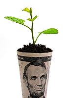 OLYMPUS DIGITAL CAMERA [IBR123980393]