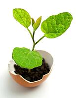 OLYMPUS DIGITAL CAMERA [IBR123980408]