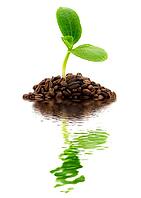 OLYMPUS DIGITAL CAMERA [IBR123980410]