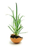 OLYMPUS DIGITAL CAMERA [IBR123980412]