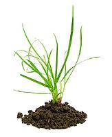 OLYMPUS DIGITAL CAMERA [IBR123980416]