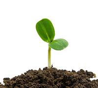 OLYMPUS DIGITAL CAMERA [IBR123980417]