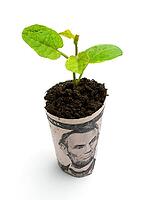 OLYMPUS DIGITAL CAMERA [IBR123980420]