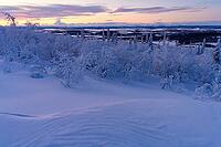 Winter landscape, Norrbotten, Lapland, Sweden, February 2020 [IBR123991016]