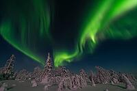 Northern Lights (Aurora borealis) over a snowy winter landscape, Muonio, Lapland, Finland, January 2019 [IBR123991023]